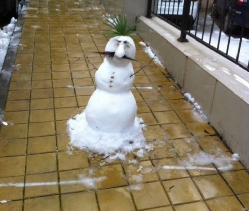 Сочинский снеговик развеселил пользователей сети