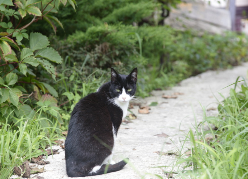 В Краснодаре 15 сентября синоптики прогнозируют до +29