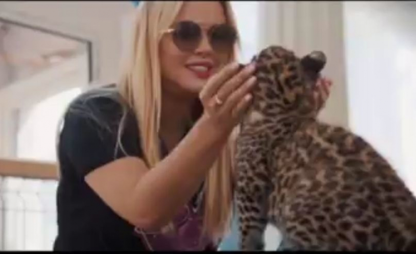 Анна Семенович в краснодарском зоопарке покормила леопардов