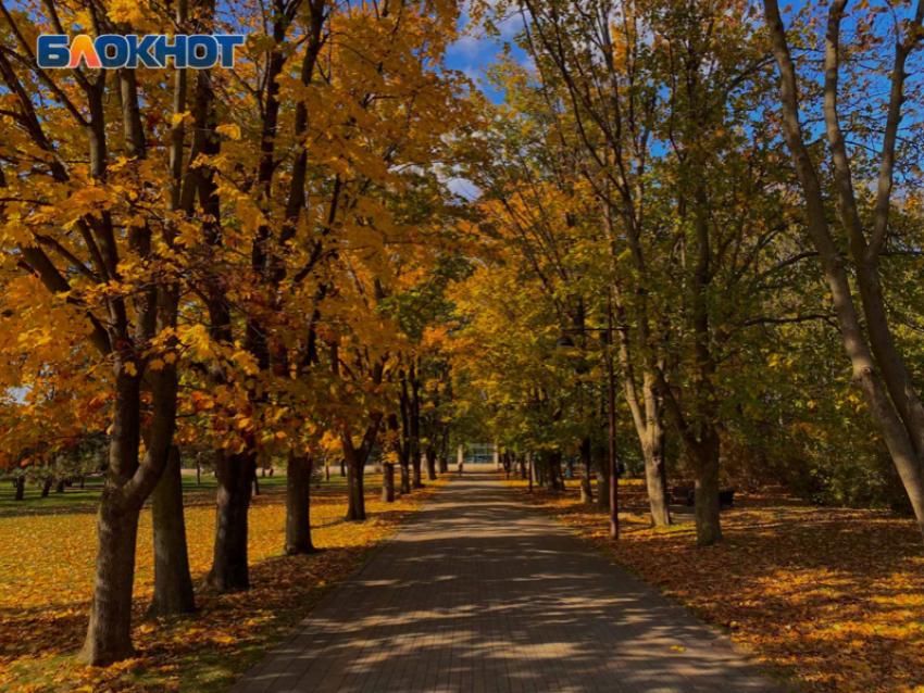 Кубанская осень продолжает радовать: в регионе от +13 до +18 