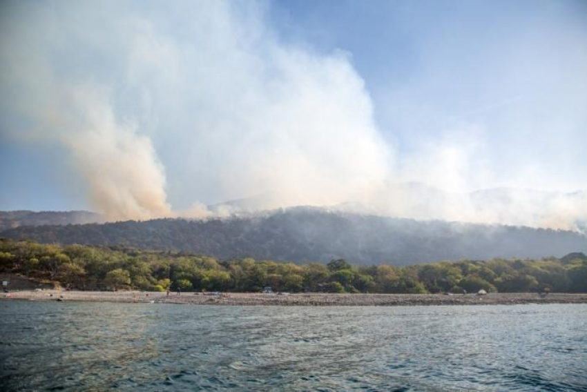 «Сгорели деревья, которые росли столетия», – губернатор Кубани лично побывал на месте пожара 