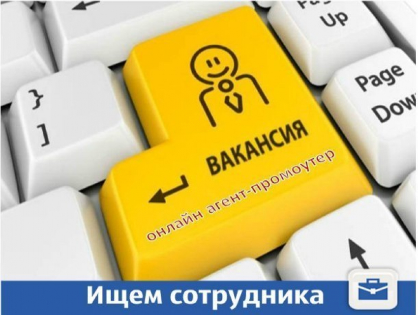 В Краснодаре ищут онлайн-промоутера