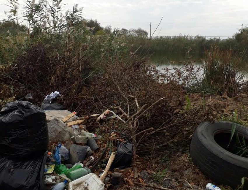 На Кубани к приезду губернатора мусор спрятали у реки