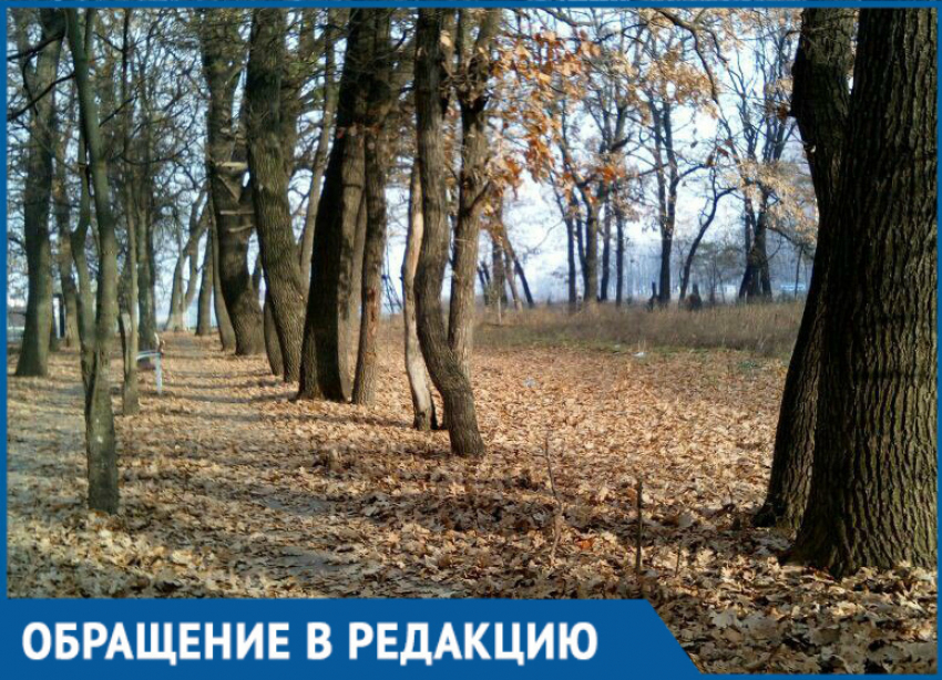 Краснодарцы назвали самую неблагоустроенную территорию города