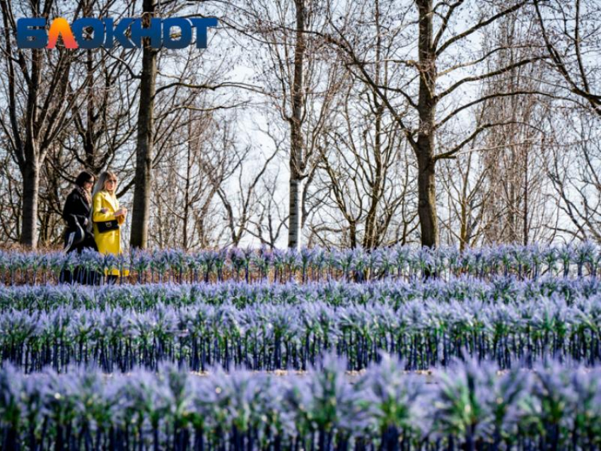 Парк Галицкого в Краснодаре готовят к весеннему наплыву туристов