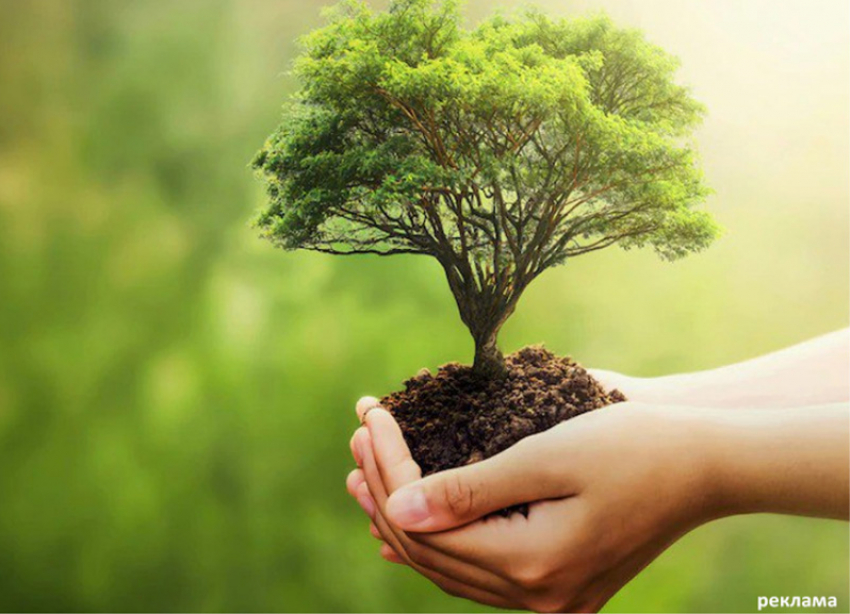 РНКБ запускает масштабную экологическую акцию по очистке природных территорий в рамках проекта «Энергия Юга»