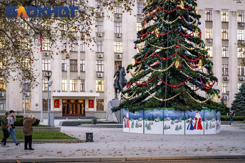 Краснодар к Новому году украсят искусственными ёлками за 4,2 млн рублей