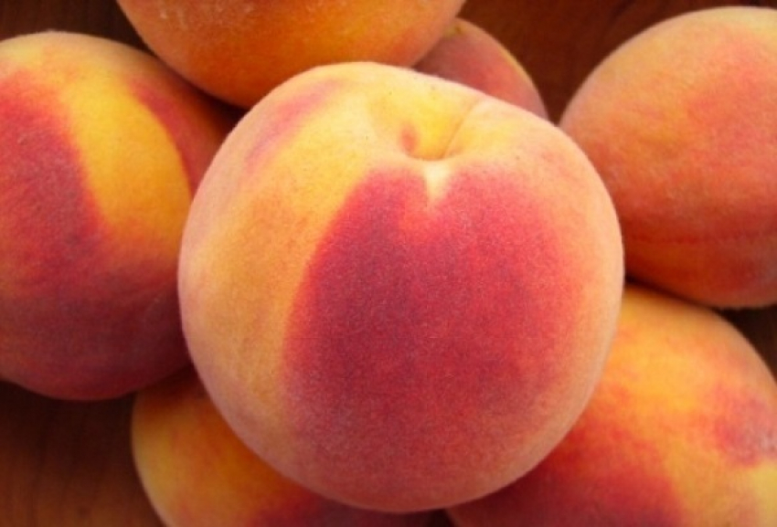 В Россию пытались ввести 10 тонн зараженных фруктов