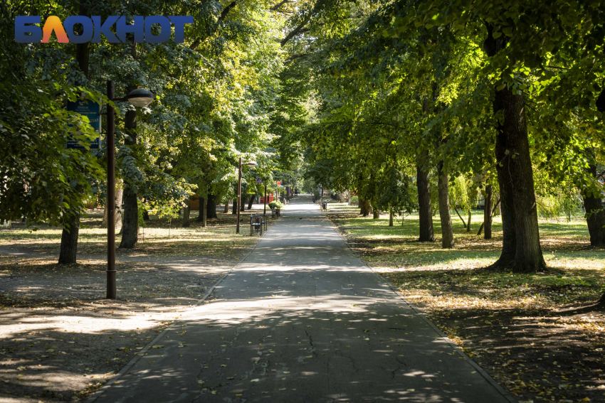 Жаркая для октября погода накрыла Краснодар