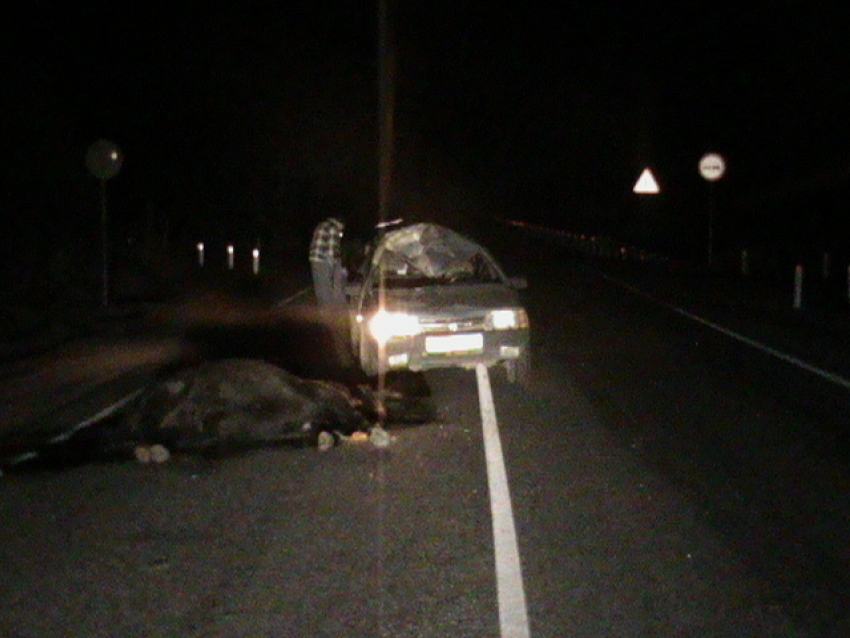  В Краснодарском крае водитель «Лады» насмерть сбил лошадь 