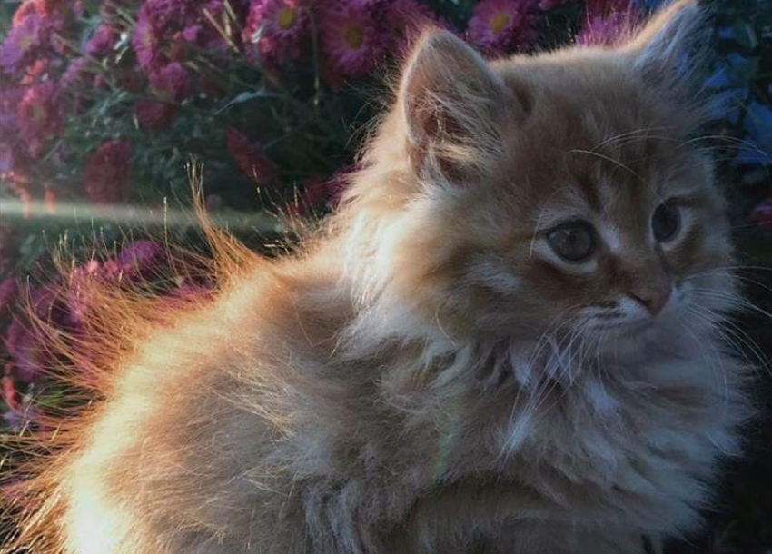 В Краснодаре будет тепло и ветрено