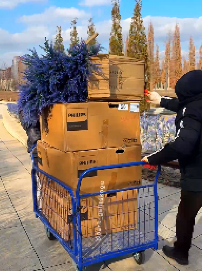 В парке «Краснодар» убрали искусственный шалфей