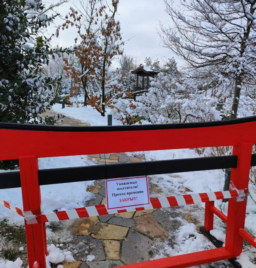 Японский сад частично перекрыли из-за непогоды 