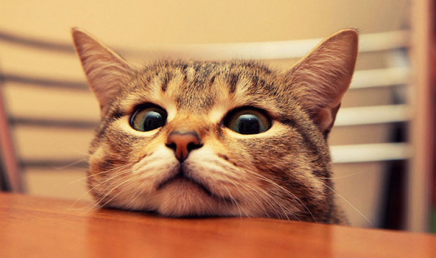 Снег и дождь пройдут в Краснодарском крае 25 декабря