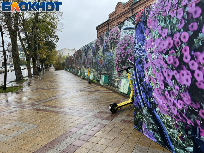 Краснодарский депутат предложил запретить электросамокаты на улицах города