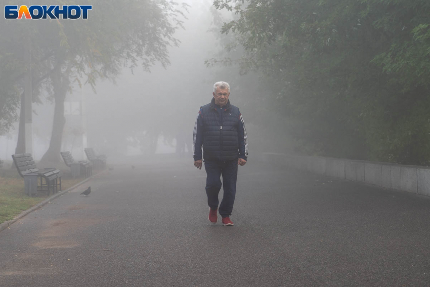 В Краснодаре в течение недели будут жечь рисовую солому 