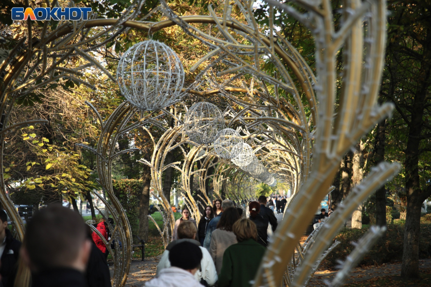 Ноябрь продолжает удивлять аномальным теплом на Кубани