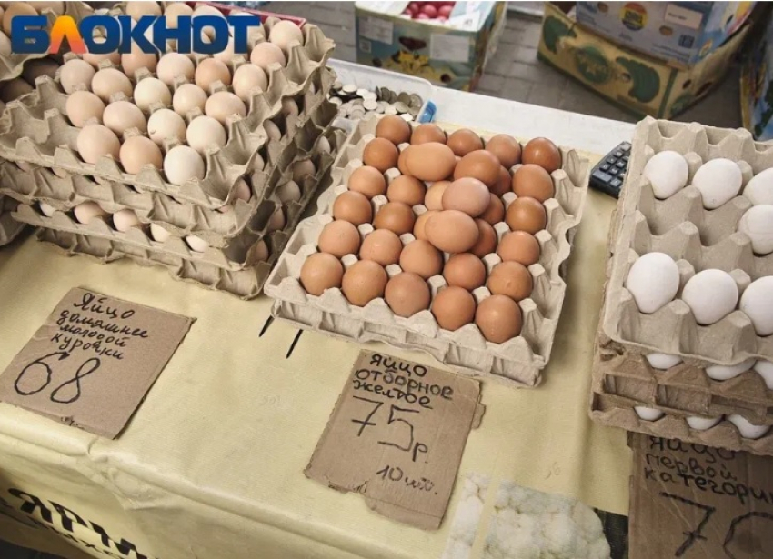 В Краснодарском крае за неделю на 9% подорожали куриные яйца