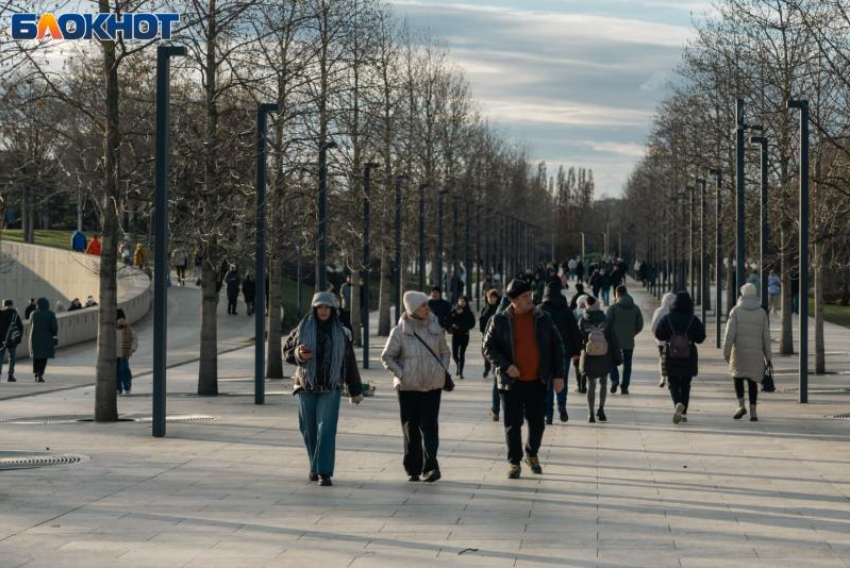 Аномальное январское тепло бьет рекорды в Краснодаре 