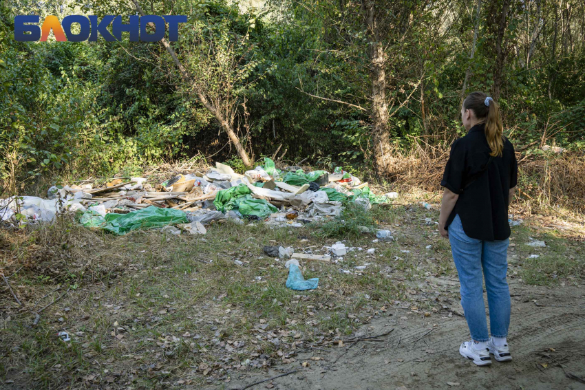 Свалка начинается с одного фантика: природные зоны в Краснодаре завалены мусором