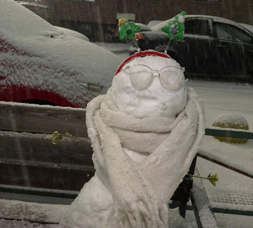 Краснодарский край после первого крупного снегопада заполонили причудливые снеговики