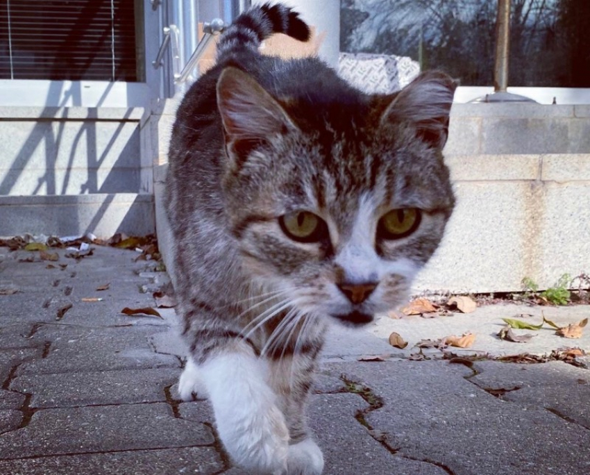 До -8 градусов опустится температура воздуха на Кубани