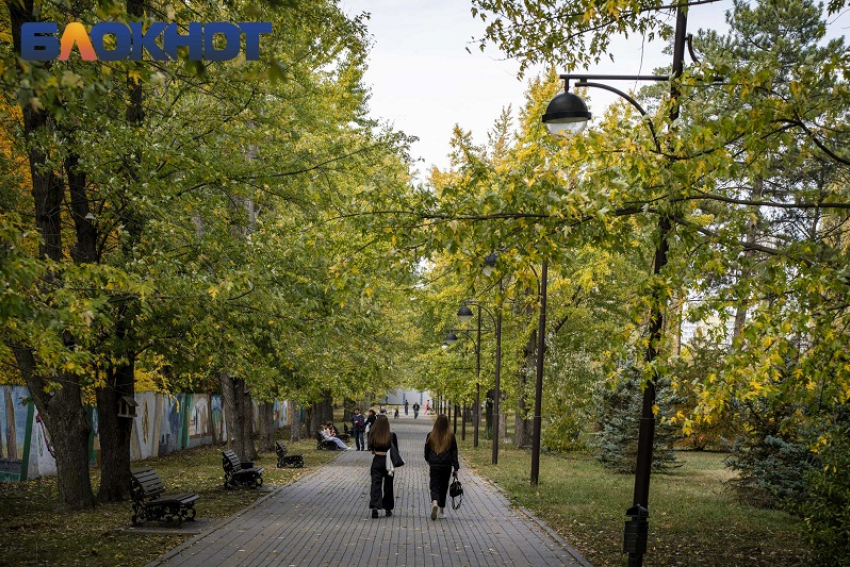 Краснодарцы не смогут попасть в Ботанический сад перед выходными
