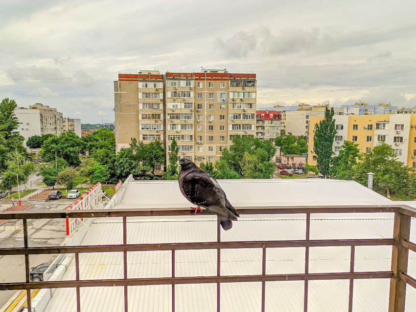 Исследование Домклик: Краснодар вошёл в рейтинг самых востребованных городов для посуточной аренды жилья на предстоящие новогодние праздники 