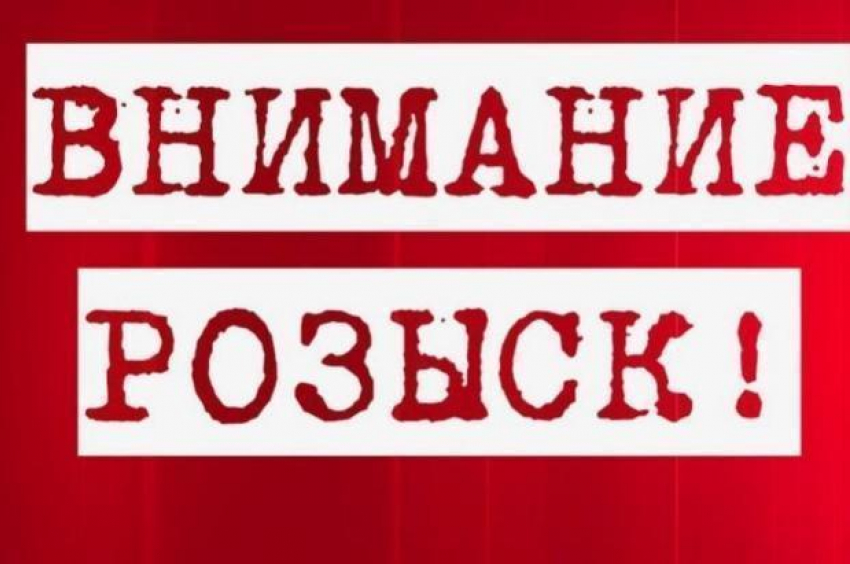 В Краснодарском крае волонтеров научат искать пропавших людей
