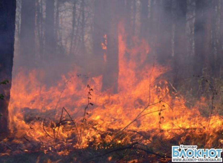 Жителей Краснодарского края предупреждают о высокой степени пожароопасности