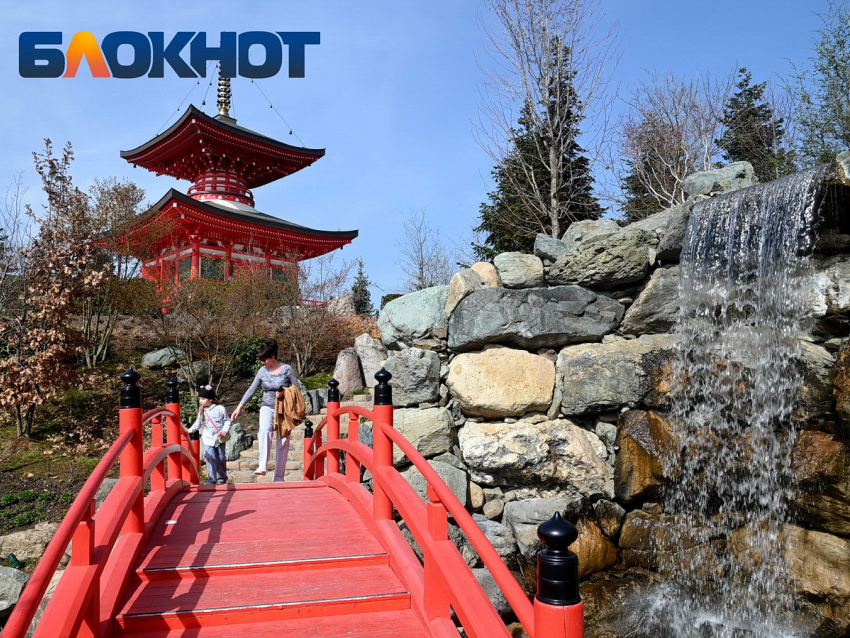 Последнее воскресенье зимы выдастся дождливым в Краснодаре