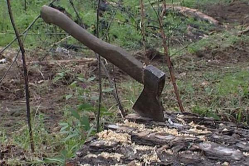 Краснодарский институт культуры оштрафуют на сумму свыше миллиона рублей