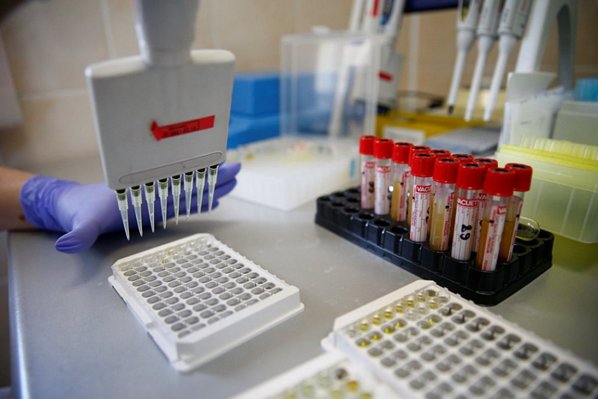 Снова снижение: 98 новых случаев заражения коронавирусом выявлено на Кубани