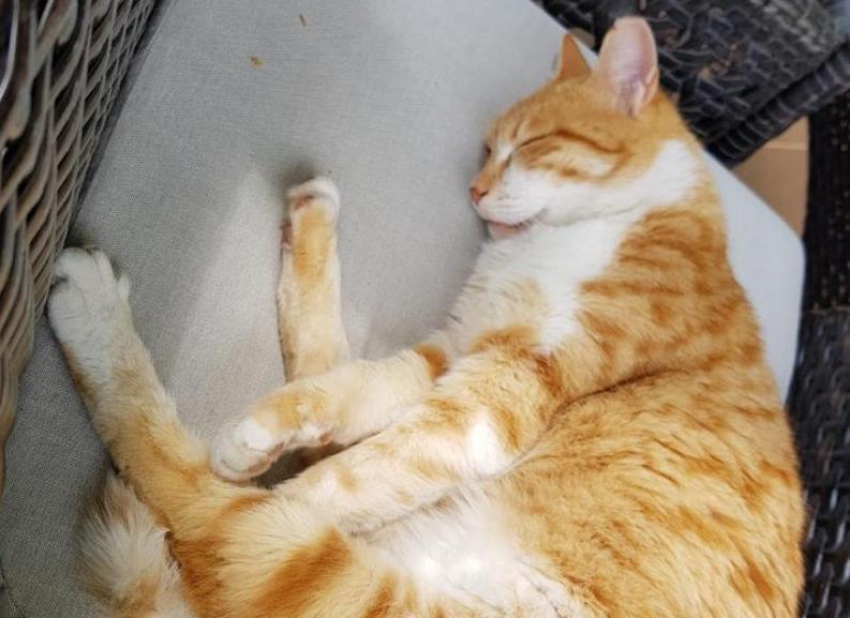 Гроза, град и дождь снова обоснуются на Кубани 