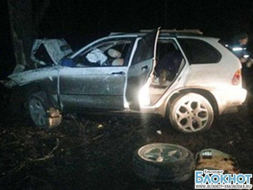 На трассе М-4 автомобиль врезался в дерево: погибла девушка