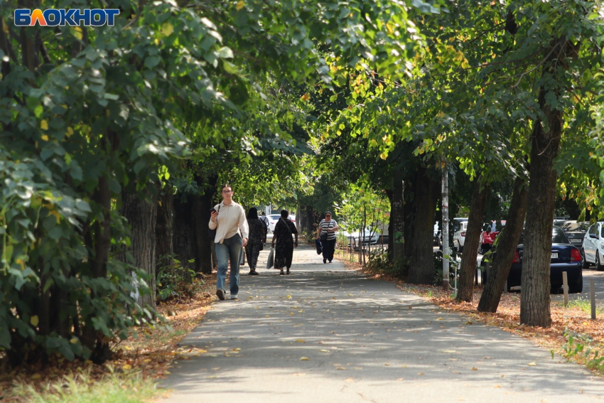 Небольшое послабление даст погода краснодарцам 