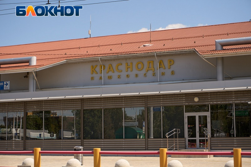 Аэропорт Краснодара потратит 200 тысяч рублей на отпугиватель птиц