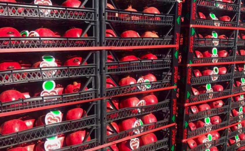 Торговый комплекс «Южный» приглашает на осеннюю постоянно действующую ярмарку