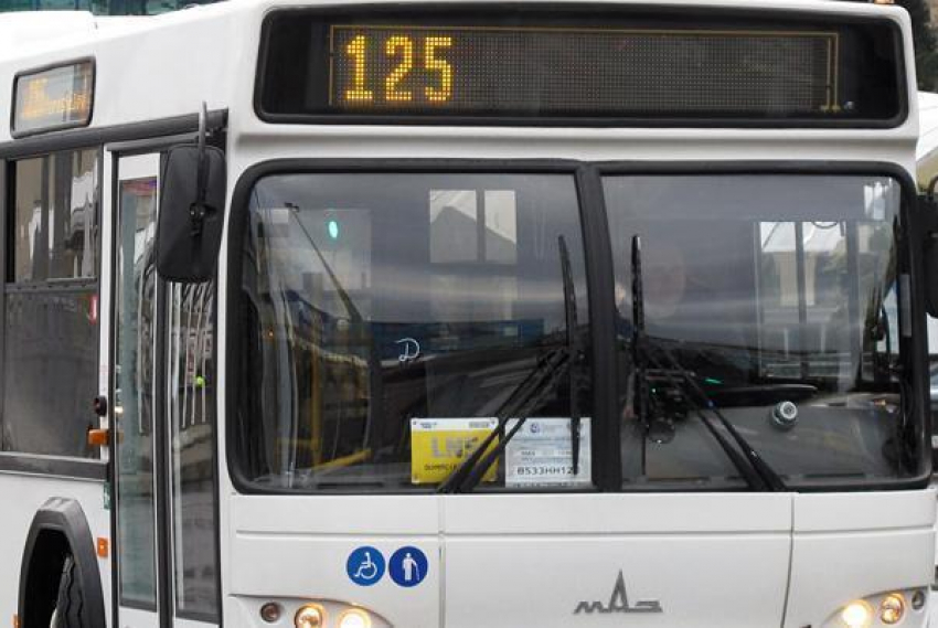 Суд просят признать «Сочиавтотранс» банкротом