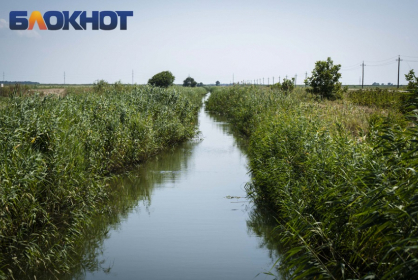 В Краснодарском крае ощутимо упало производство популярной крупы 