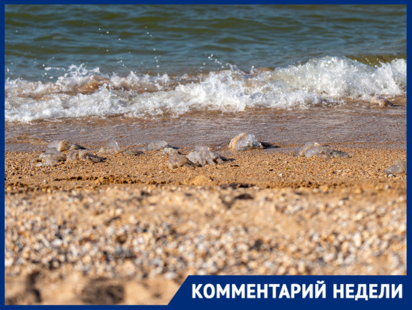 Черное море превратилось в желе: откуда наплыв медуз на курортах Кубани и Крыма?