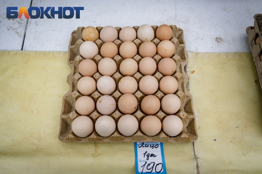 Прокурор Краснодарского края назвал причину роста цен на яйца