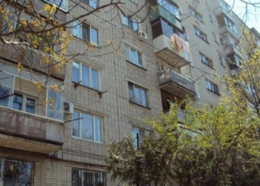 На 200 тысяч рублей оштрафовали жителя Краснодара за самовольную обрезку деревьев