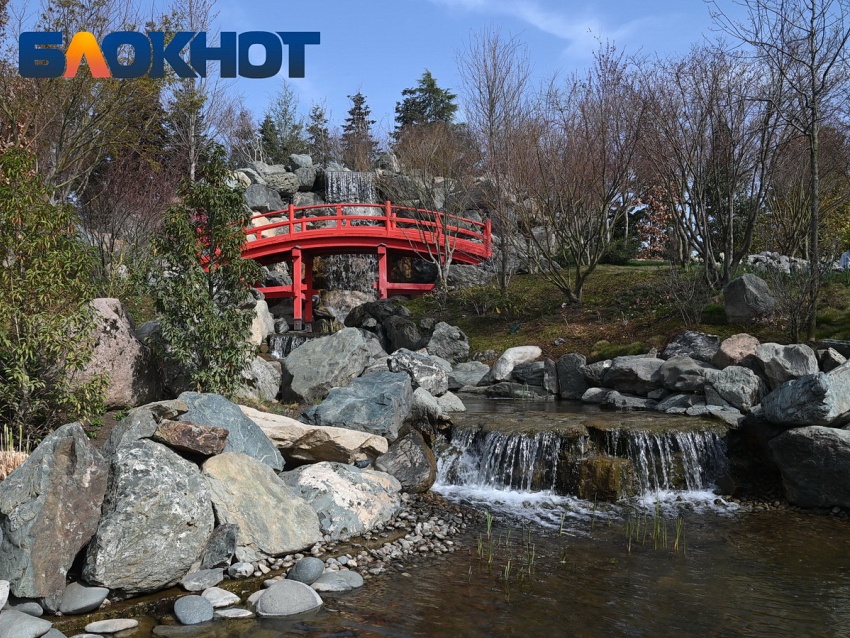 До -5 градусов по ощущениям опустится температура в Краснодаре