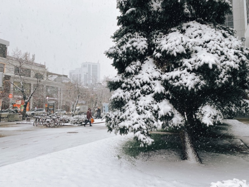 Гололедица, снег и дождь: в Краснодаре +5 градусов   