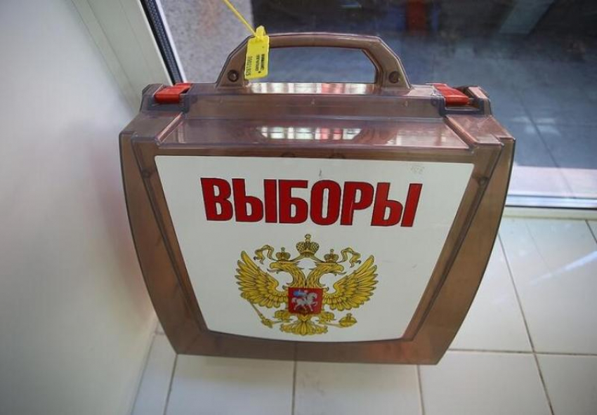 Кубанские наблюдатели обратились к Памфиловой с просьбой отменить трехдневное голосование