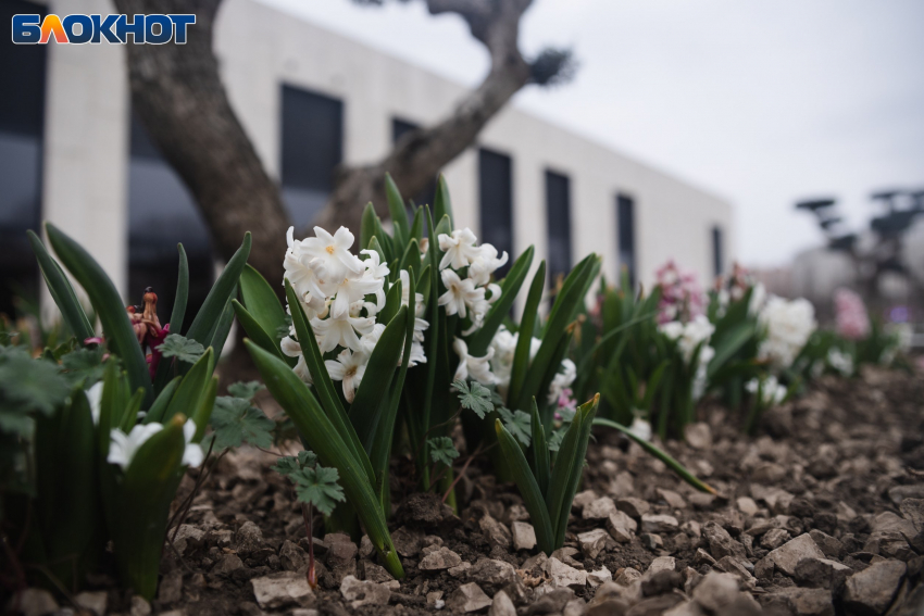 Краснодарцам придётся приготовить дождевики и зонтики