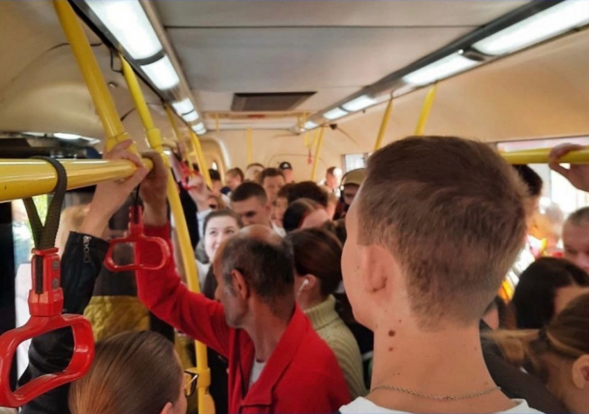 В Краснодаре установили проезд в новом маршруте гортранспорта в 34 рубля