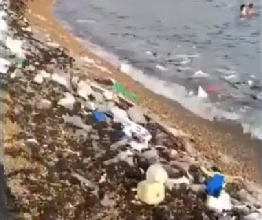 Горы мусора на пляже Новороссийска не смущают нерадивого арендатора