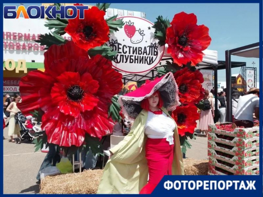 Море ягод и масса веселья: показываем цены и ассортимент на популярном фестивале клубники в Краснодаре  